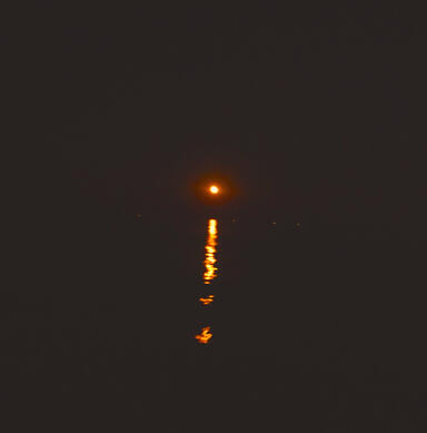 sun